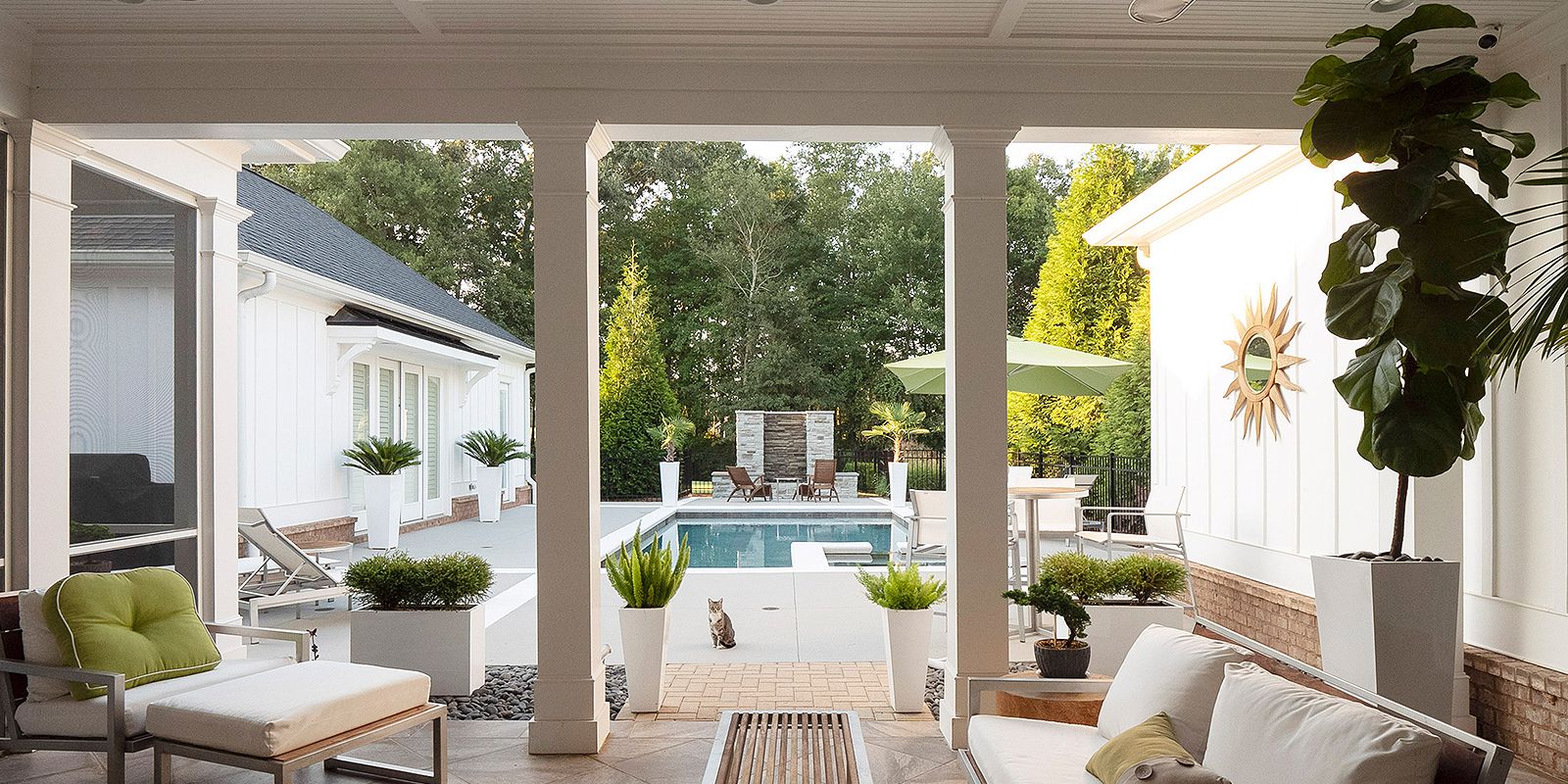 Swimmig pool view - The Reed Group